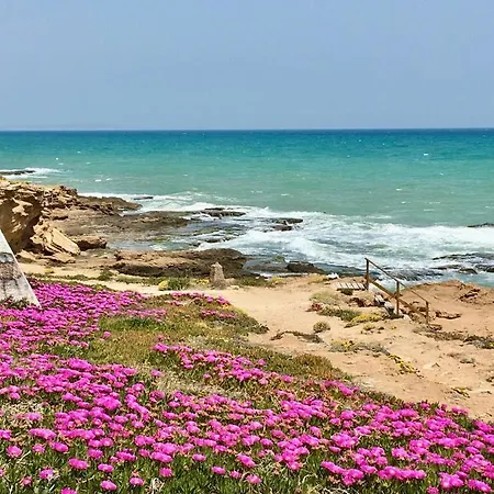 в 50 м от моря La Mata - شقة تورّيفيِخا