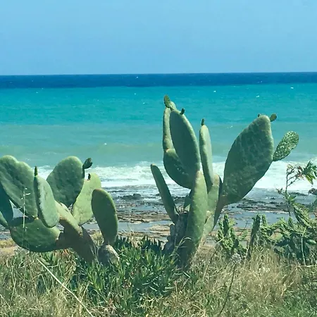 в 50 м от моря La Mata - * تورّيفيِخا